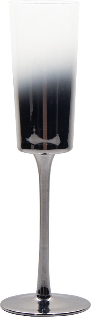 Vikko Décor Orchid Collectie - Champagne Glazen - Set van 2 Champagne Coupe - Flutes - Ombre Zilver