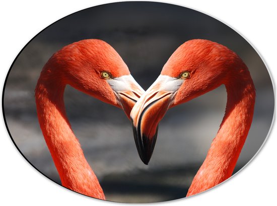 WallClassics - Dibond Ovaal - Twee Flamingos Vormen een Hart met hun Snavels - 40x30 cm Foto op Ovaal (Met Ophangsysteem)
