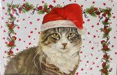 8 dubbele Kerstkaarten met enveloppen Franciens Katten - Poes met kerstmuts - Fijne Feestdagen