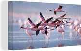 Canvas - Schilderij - Flamingo - Zee - Water - Vogel - Tropical - Schilderij op canvas - Woonkamer - 80x40 cm - Canvas doek - Wanddecoratie