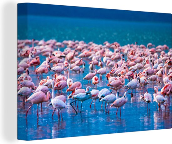 OneMillionCanvasses - Canvas schilderij - Flamingo - Water - Tropisch - Roze - Vogel - Schilderijen op canvas - Foto op canvas - 30x20 cm - Muurdecoratie