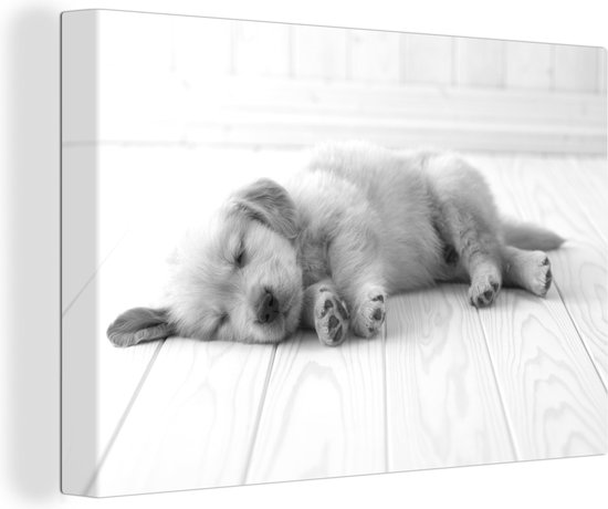 Canvas Schilderij Slapende puppy op een witte vloer - zwart wit - 30x20 cm - Wanddecoratie