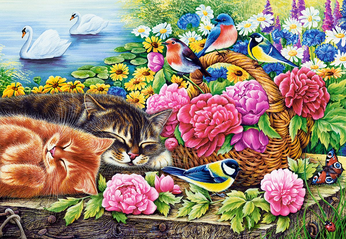 Castorland Lazy Sunday – Puzzel – 1.000 stukjes – Satijnen afwerking – Perfecte pasvorm – Europese kwaliteit — afbeelding 2