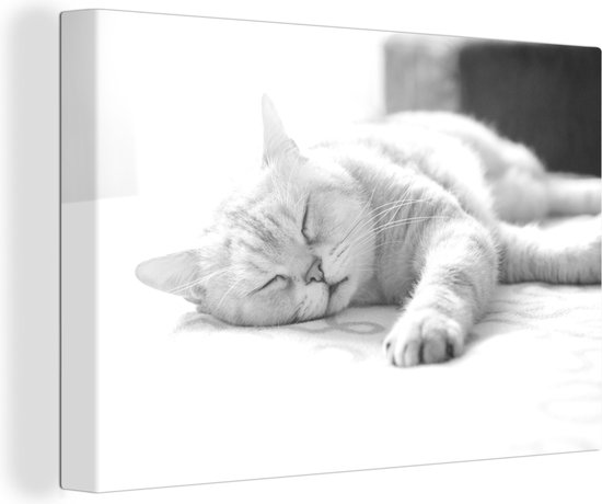 Canvas Schilderij Kat slaapt op bed - zwart wit - 90x60 cm - Wanddecoratie