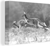Canvas Schilderij Twee kangoeroes springen door bloemenveld - zwart wit - 80x60 cm - Wanddecoratie