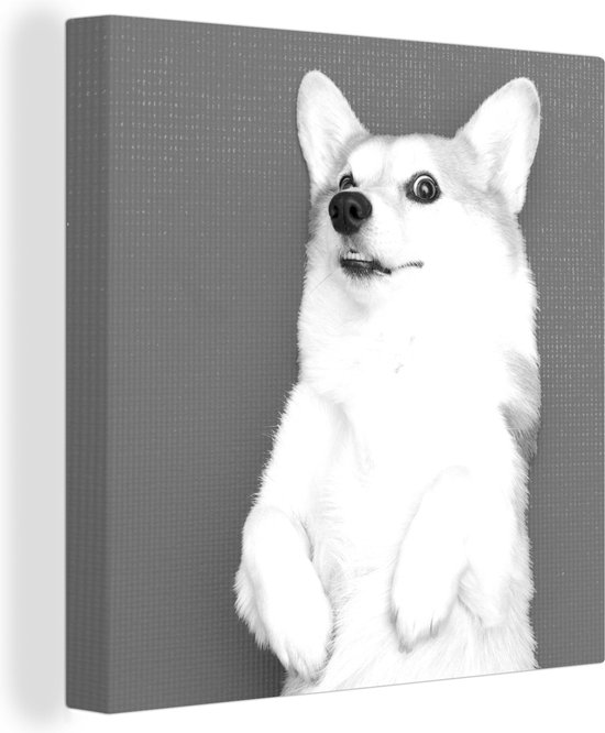 Canvas Schilderij Corgi op een yoga mat - zwart wit - 90x90 cm - Wanddecoratie