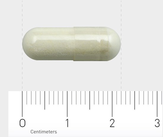 Een enkele witte, doorschijnende vegacapsule met een poederachtige inhoud, gemeten met een liniaal.