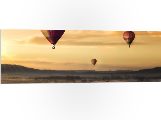 WallClassics - PVC Schuimplaat - Luchtballonen Zwevend boven Open Veld - 120x40 cm Foto op PVC Schuimplaat (Met Ophangsysteem)