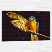 WallClassics - Muursticker - Ara Papegaai met Geel Gouden Vleugels - 90x60 cm Foto op Muursticker