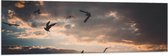 WallClassics - Vlag - Vogels in de Lucht bij Zonsondergang - 150x50 cm Foto op Polyester Vlag