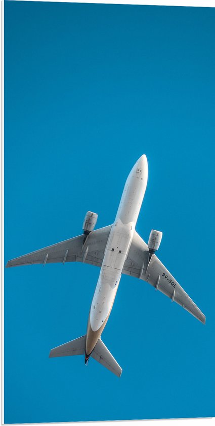WallClassics - PVC Schuimplaat - Onderkant van Vliegtuig bij Blauwe Lucht - 50x100 cm Foto op PVC Schuimplaat (Met Ophangsysteem)