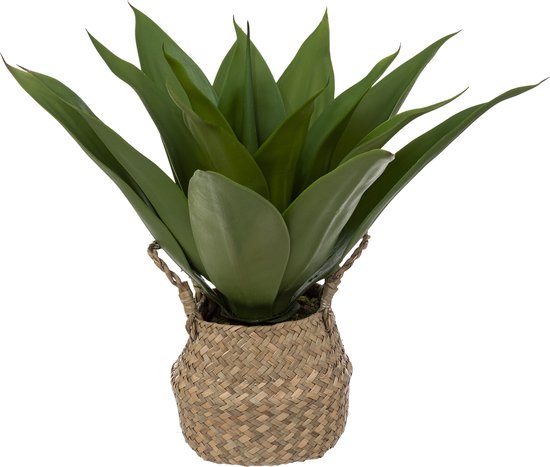 Kunstplant - Agave - Natuurlijke Pot - Hoogte 48cm