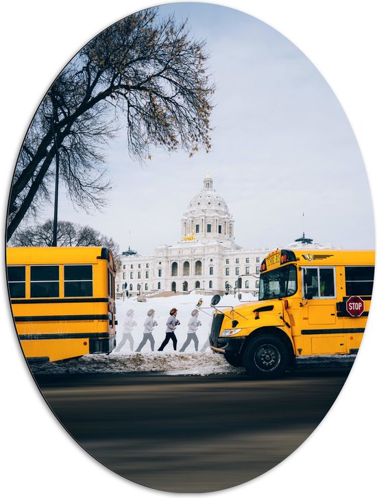 WallClassics - Dibond Ovaal - Gele Schoolbussen bij Gebouw - 72x96 cm Foto op Ovaal (Met Ophangsysteem)