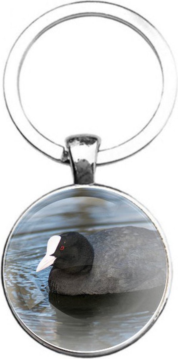 Sleutelhanger Glas - Meerkoet