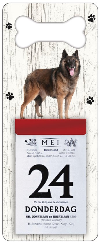 Foto: 