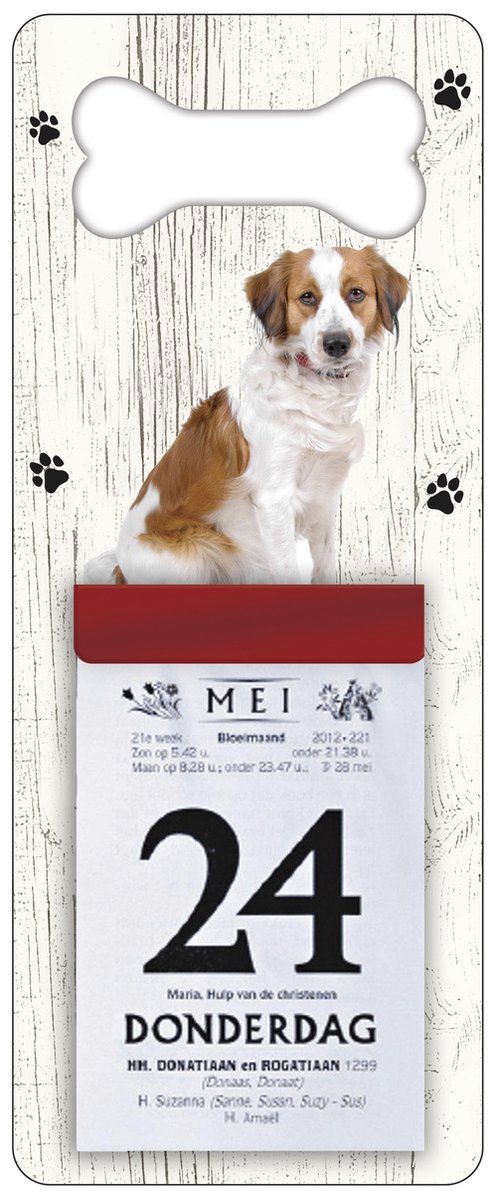 Scheurkalender 2026 Hond: Kooiker