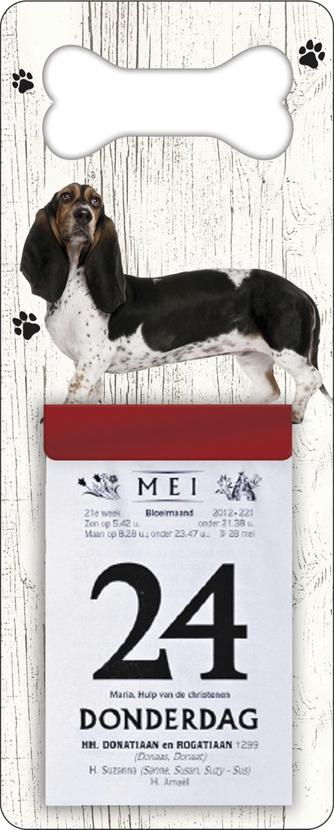 Scheurkalender 2026 Hond: Teckel