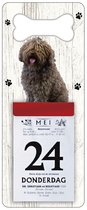 Scheurkalender 2024 Hond: Spaanse Waterhond