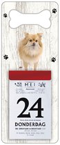 Scheurkalender 2024 Hond: keeshond