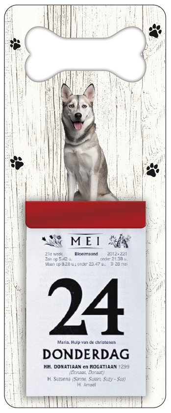 Scheurkalender 2026 Hond: Sibersche Husky