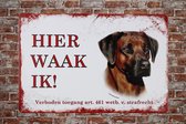 Hier waak ik Rhodesian Ridgeback - Wandbord - Wand bord - Metalen bord - 20 x 30cm - UV bestendig - Cadeau - Metalen borden - Decoratie - Metalen decoratie - Eco vriendelijk - Hond - Honden bord - Cave & Garden
