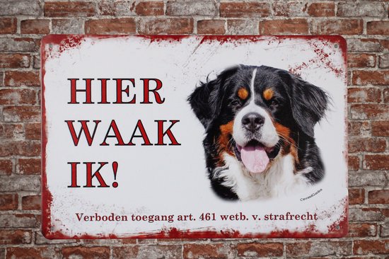 Here I watch Berner Senner - Plaque murale - Plaques métal - Décoration - Plaque murale - Plaque métal - 20 x 30cm - Décoration métal - Résistant aux UV - Eco friendly - Plaque Chiens - Cadeau - Cave & Garden