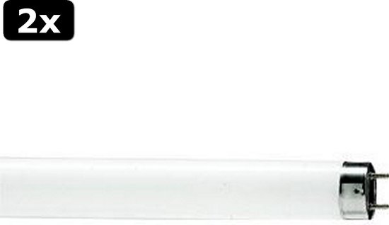 Twee Philips TL-D buizen, 30W, kleur 840, met G13 fitting.