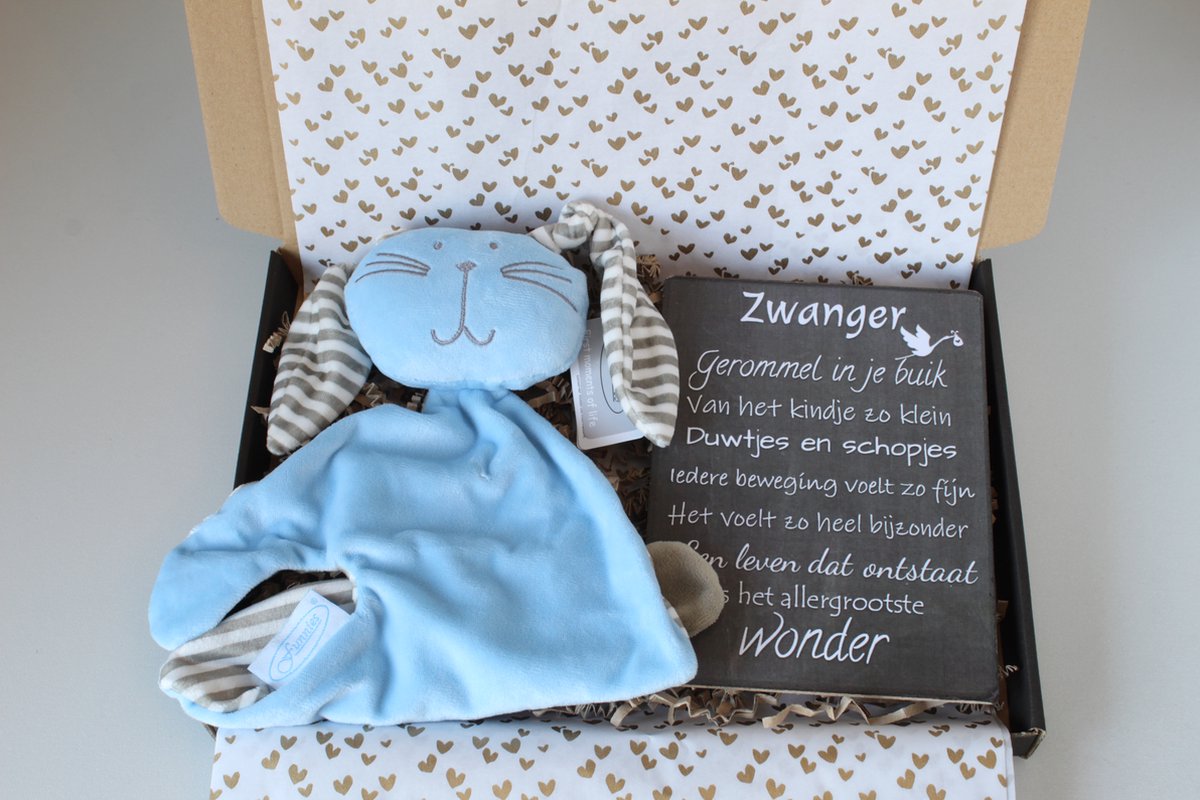 Goedkoopste Brievenbus cadeau knuffelkonijn blauw - cadeau zwangerschap - kraam cadeau - babyshower