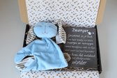 Brievenbus cadeau knuffelkonijn blauw - cadeau zwangerschap - kraam cadeau - babyshower
