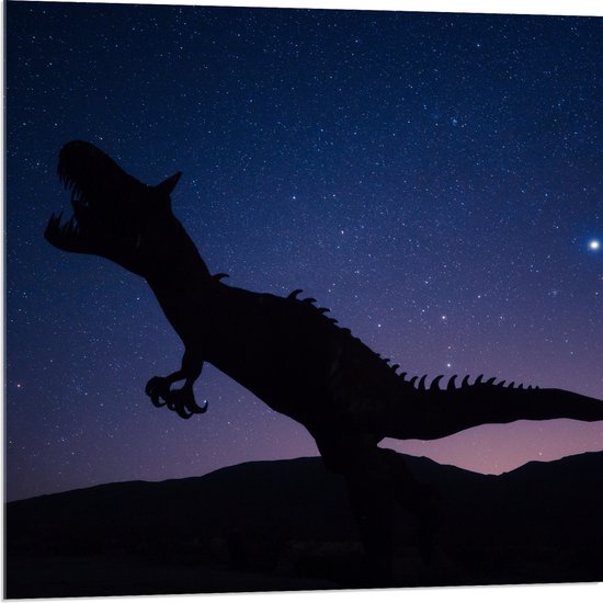 WallClassics - Acrylglas - Silhouette van een Dinosaurus in de Nacht - 80x80 cm Foto op Acrylglas (Wanddecoratie op Acrylaat)