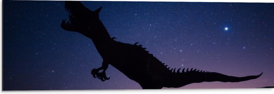 WallClassics - Dibond - Silhouette van een Dinosaurus in de Nacht - 90x30 cm Foto op Aluminium (Wanddecoratie van metaal)