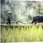 WallClassics - Panneau en mousse PVC – Fermier asiatique au travail – Photo 80 x 80 cm sur panneau en mousse PVC