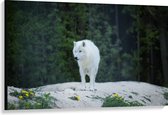 WallClassics - Canvas  - Witte Wolf op een Rots - 120x80 cm Foto op Canvas Schilderij (Wanddecoratie op Canvas)