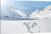 WallClassics - Dibond - Zwaan in Besneeuwde Bergen - 120x80 cm Foto op Aluminium (Met Ophangsysteem)