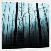 WallClassics - Muursticker - Forêt Sombre - 100x100 cm Photo sur Muursticker