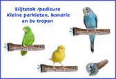 Nagel slijtstok / pedicurestok voor kleine parkiet, kanarie en bv tropische vogels (beton)