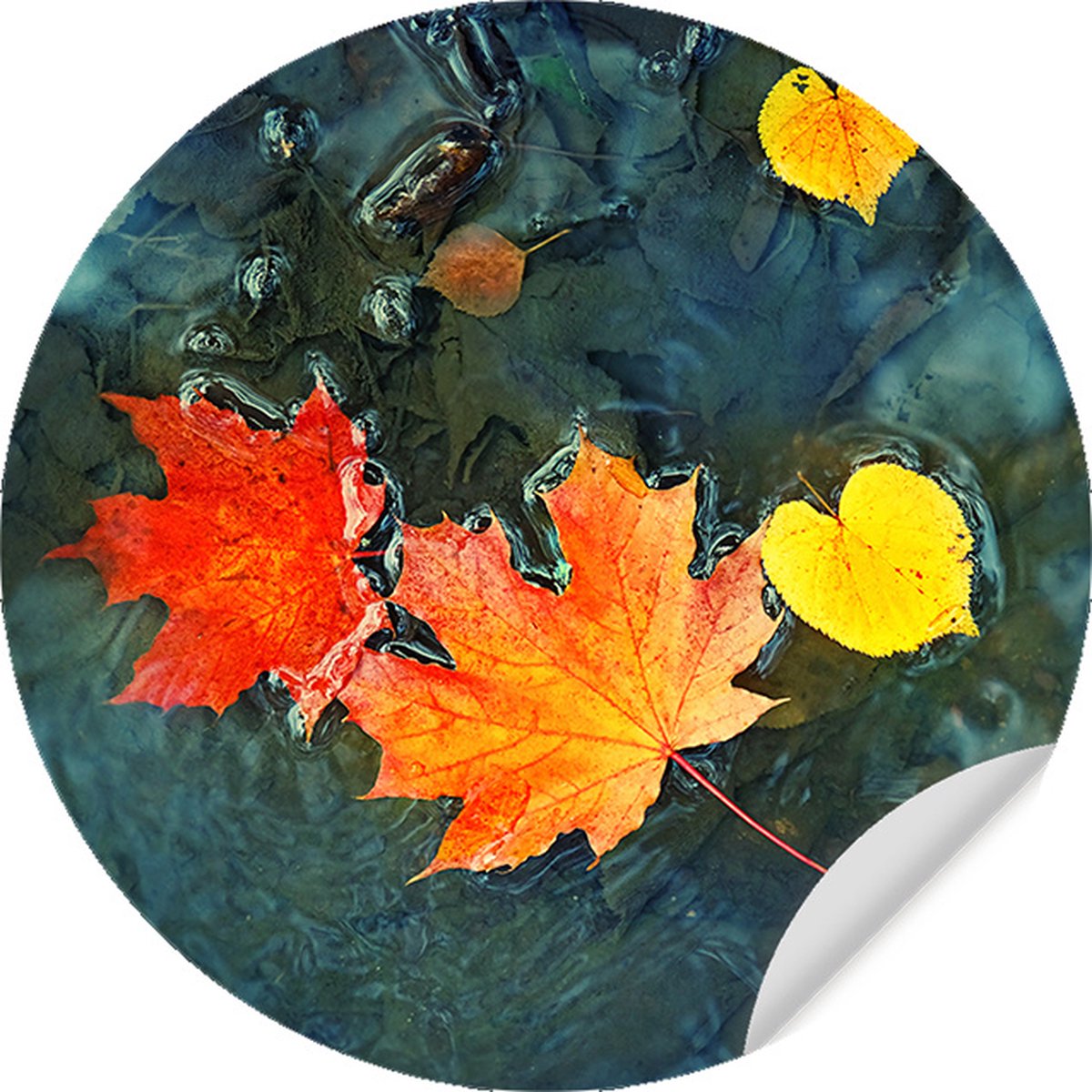Behangcirkel Drijvende Herfstbladeren