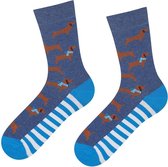 vrolijke sokken Teckel maat 40 - 45