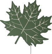 Houten wandlamp Esdoorn blad pesto groen - LED lamp - Roozje
