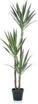 Kunstplant Yucca 150 cm