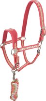 Headcollar and Rope Favouritas Bright coral Full Size