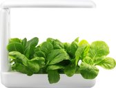 VegeBOX - Kitchen -  Hydrocultuur kweek bak met full-spectrum LED verlichting - EU / wit
