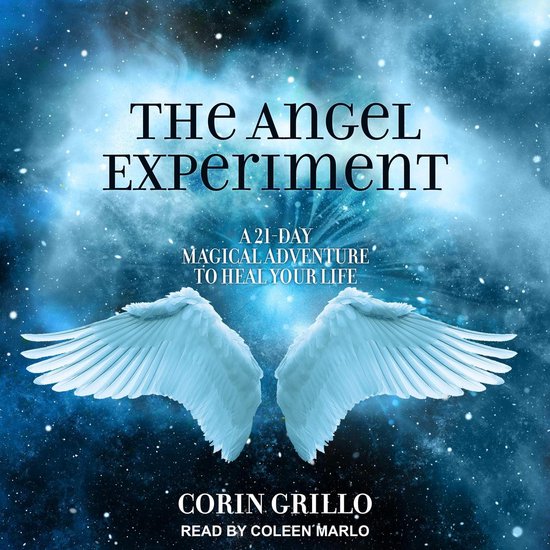 The Angel Experiment - cover