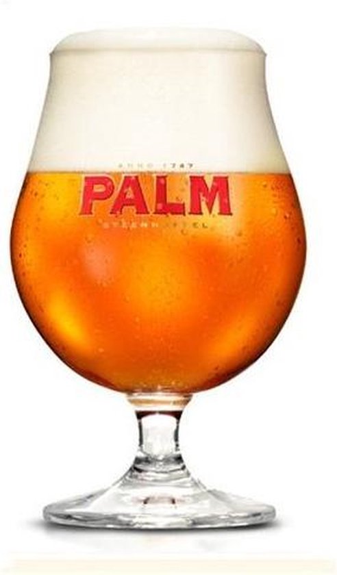 Nauwkeurigheid karton genade Palm bokaal bierglas 6 stuks 33cl. | bol.com