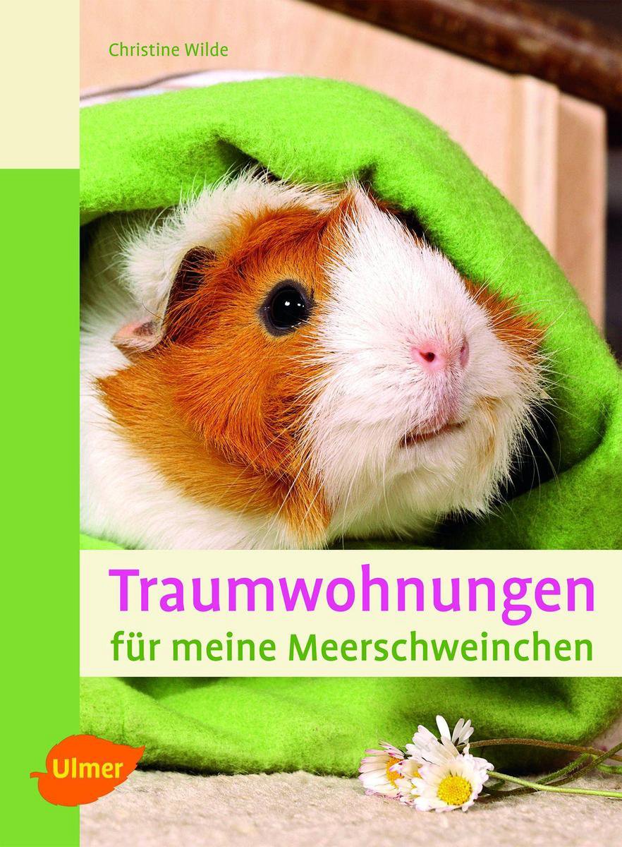 Bol Com Traumwohnungen Fur Meine Meerschweinchen Ebook Christine Wilde Boeken