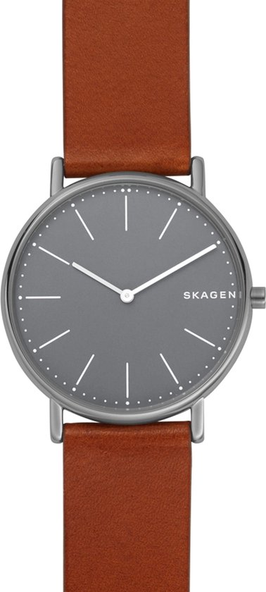 Skagen Grijs Mannen Horloge SKW6429