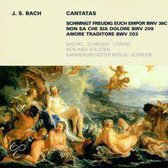 Weltliche Kantaten BWV36c