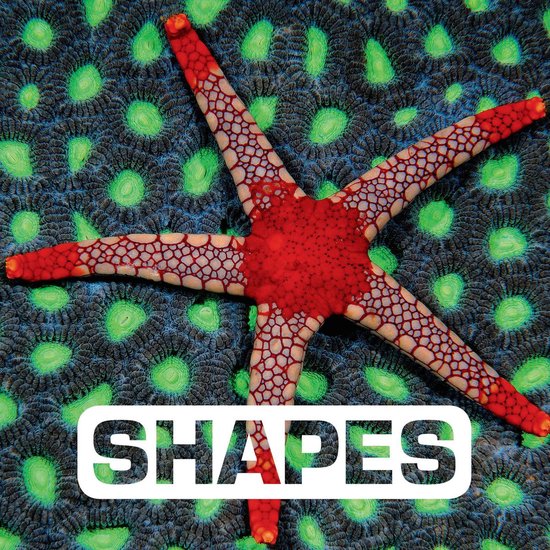 Picture This - Shapes - cover