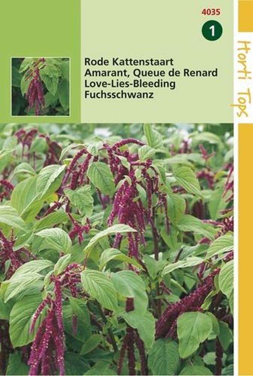 2 stuks Hortitops Amaranthus Caudatus Rood