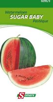 Somers zaden - Watermeloen Sugar Baby